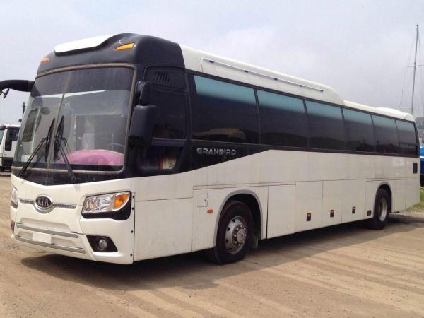 Kia Granbird